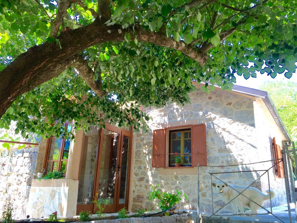 Ethno House Ivanovic Virpazar Kültér fotó